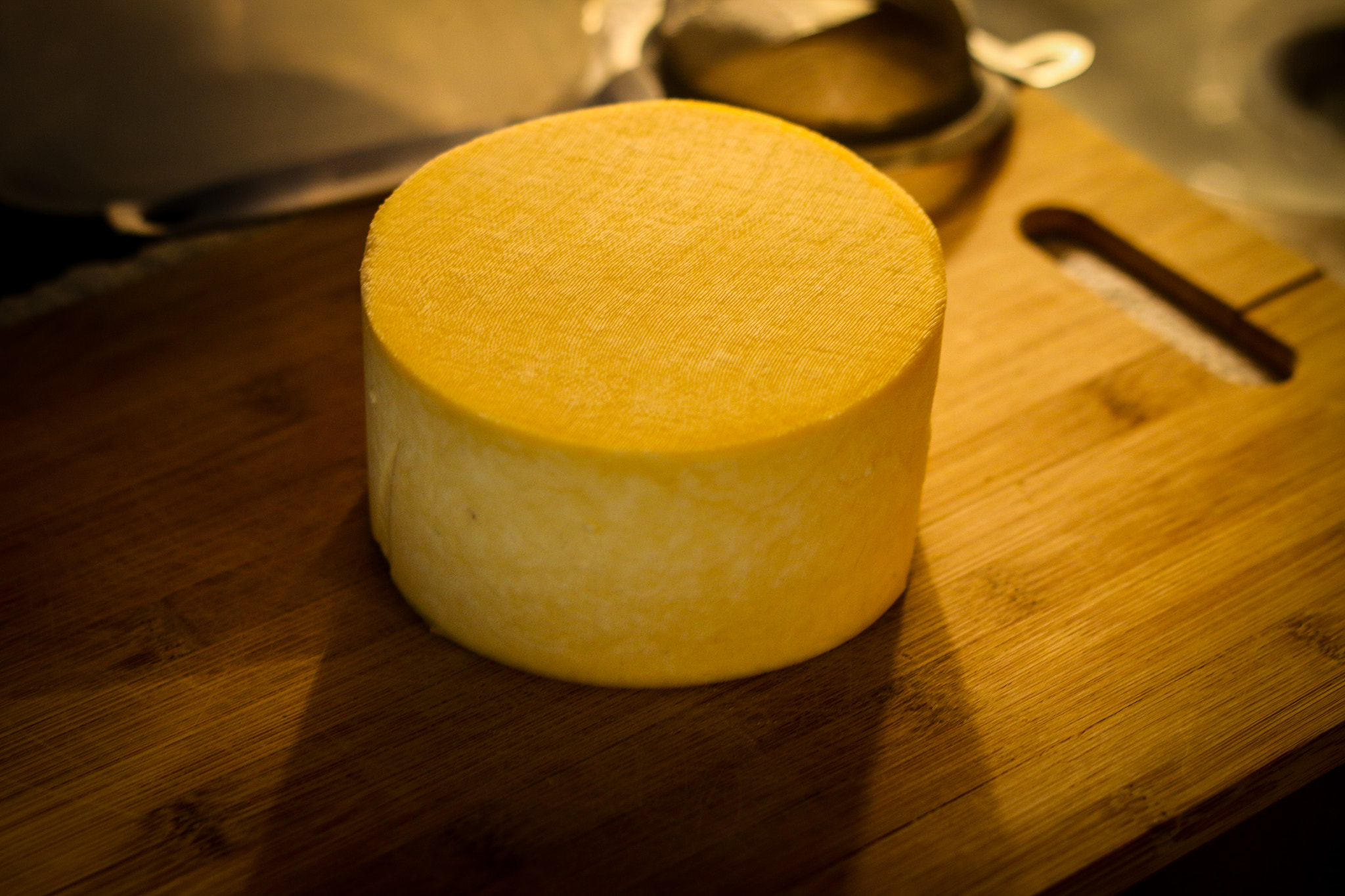 gouda